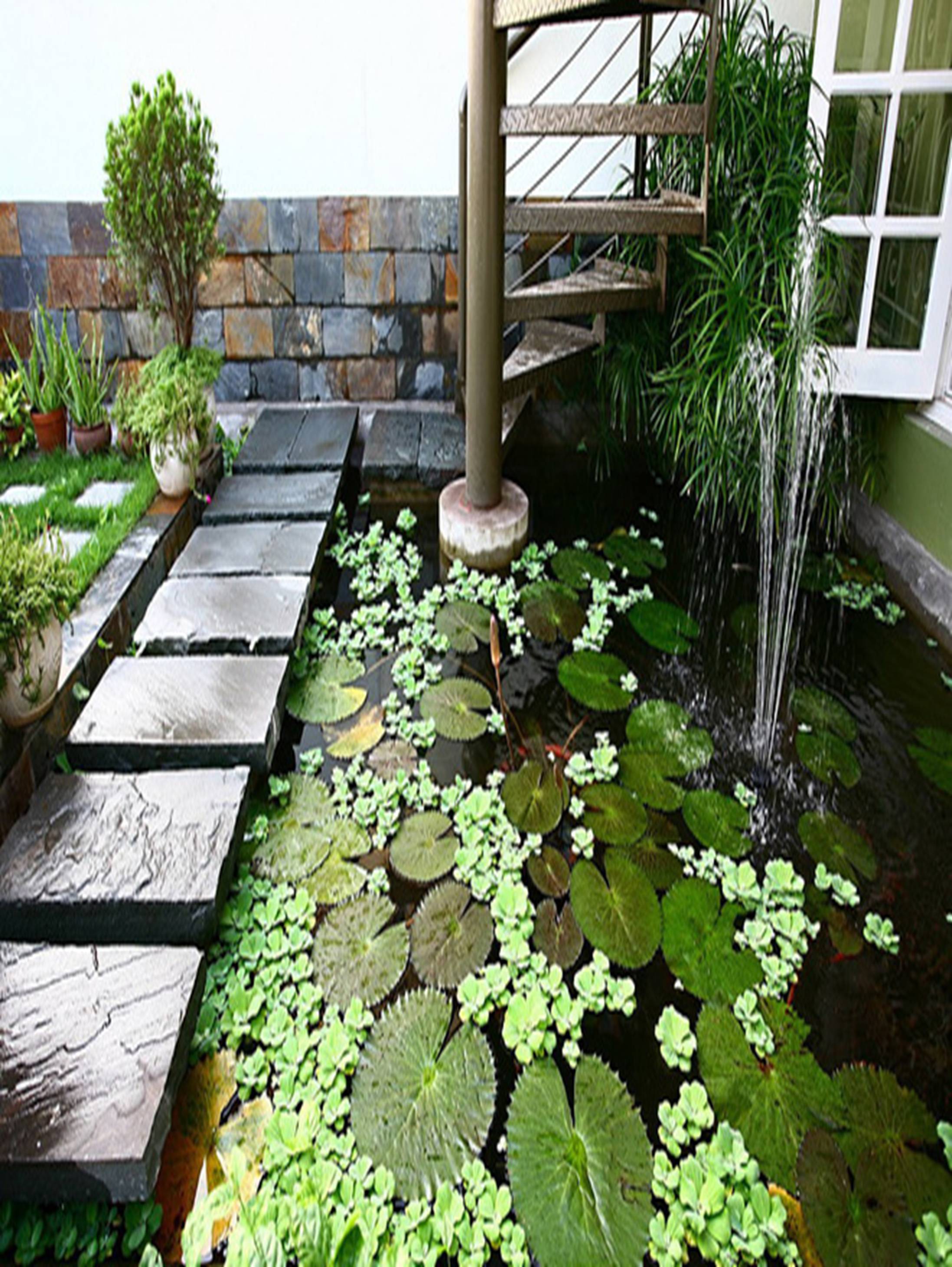 113123baoxaydung image012 Thiết kế và cải tạo nhà với vườn xanh trên mái
