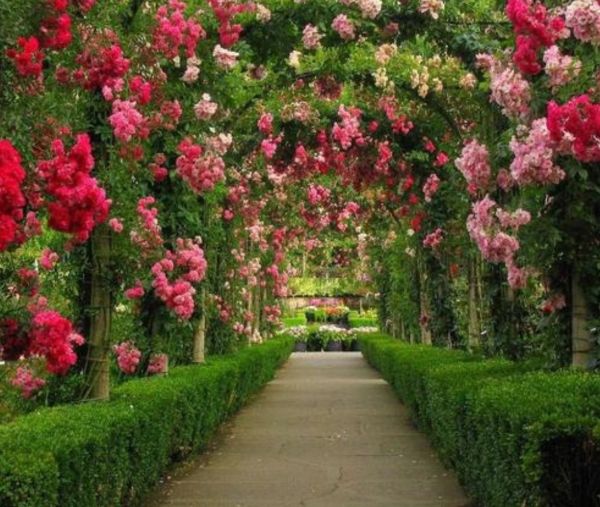 garden 22 1376585671 Thiết kể mở lối nhỏ trong vườn tuyệt đẹp