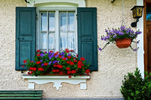 20160915161454 cua so 4 Chiêm ngắm những khung cửa sổ đẹp hút hồn nhờ sắc hoa rực rỡ