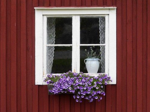 20160915161955 cua so 13 Chiêm ngắm những khung cửa sổ đẹp hút hồn nhờ sắc hoa rực rỡ