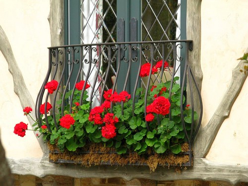 20160915161955 cua so 18 Chiêm ngắm những khung cửa sổ đẹp hút hồn nhờ sắc hoa rực rỡ